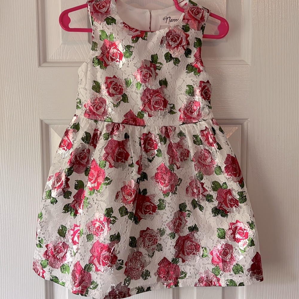 Adorable floral Nanette size 3T Rose Foil Lace dress